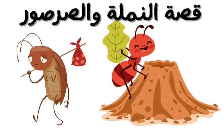 قصة النملة والصرصور