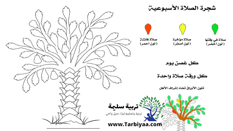كيف أجعل ابني يصلي شجرة صلاة للأسبوع تشجع الابن للمحافظة علي الصلاة كيف أجعل ابني يصلي شجرة صلاة للأسبوع تشجع الابن للمحافظة علي الصلاة