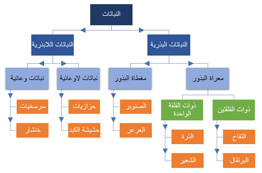 شكل يوضح الخرائط المفاهيمية شكل يوضح الخرائط المفاهيمية