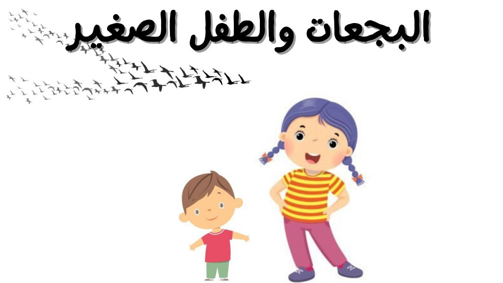 قصة البجعات والطفل الصغير