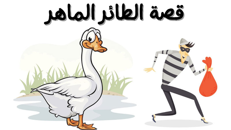 قصة الطائر الماهر