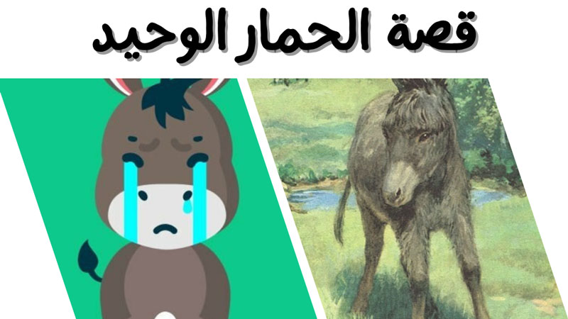 قصة فرهود جحش يشكو الوحدة