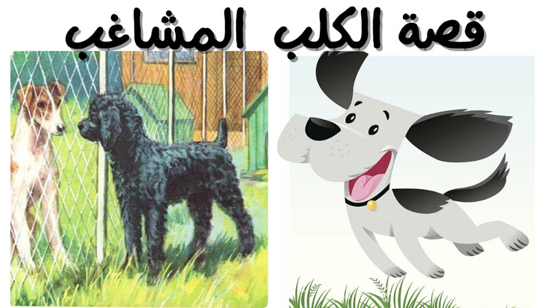 قصة سمور العاصي