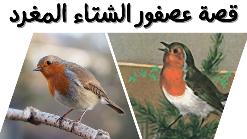 قصة أبو الحناء الحكيم