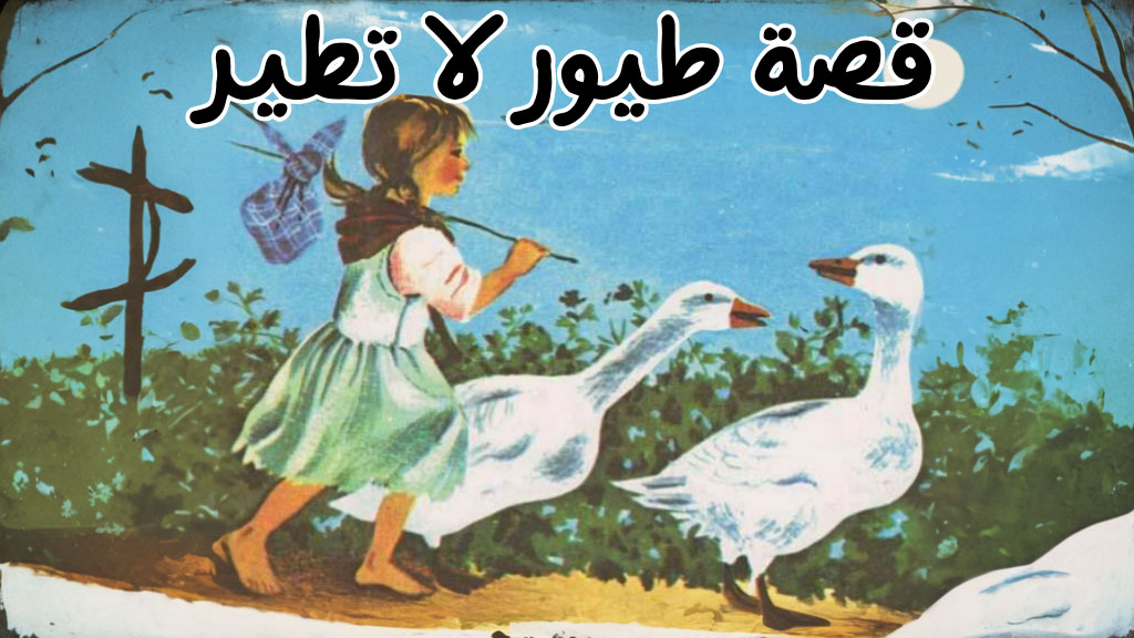 قصة طيور لا تطير
