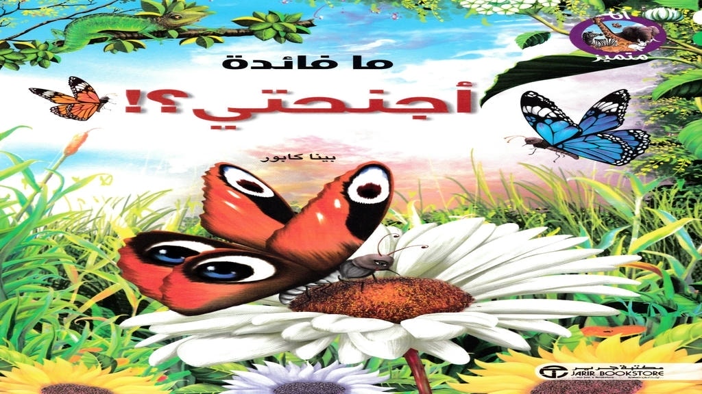 قصة ما فائدة أجنحتي