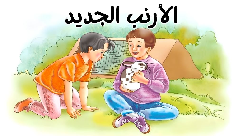 الأرنب الجديد