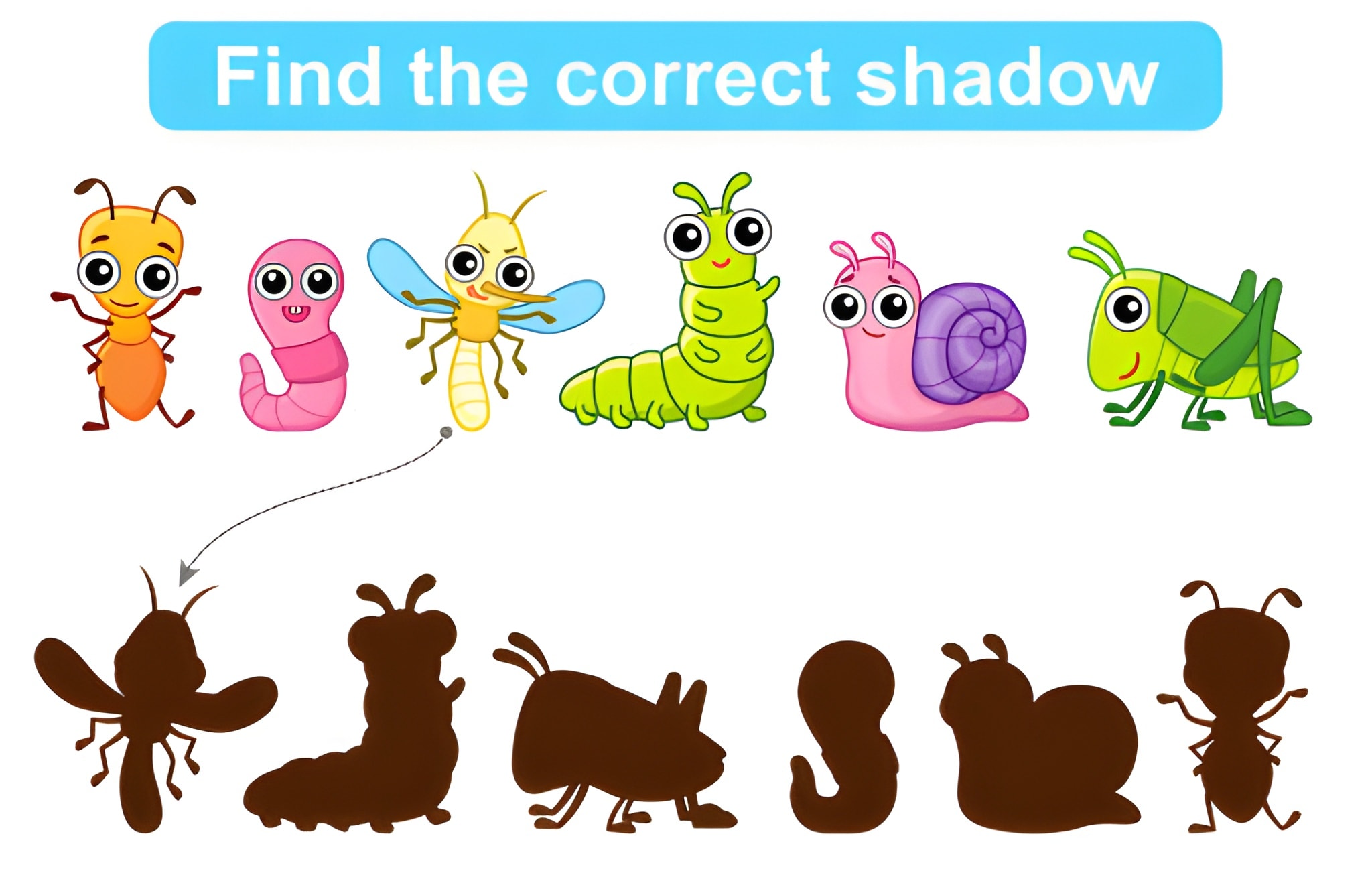 رسم كرتوني لستة حشرات وظلالها لتحدي بصري من نوع أوجد الظل.